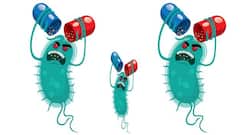 5 interesting facts about antibiotic resistance that will blow your mind!