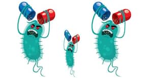 5 interesting facts about antibiotic resistance that will blow your mind!