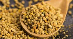 6 reasons why you should have bee bread or bee pollen
