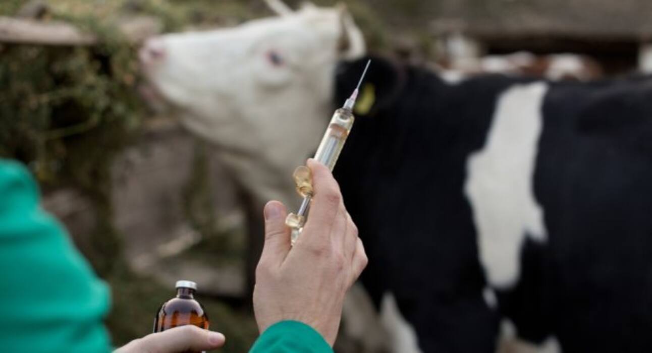 5 interesting facts about antibiotic resistance that will blow your mind!