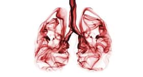 Children who are fit during childhood have better functioning lungs in adulthood
