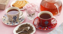 6 health benefits of Valerian Root tea