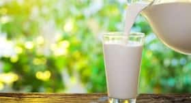 Is drinking milk good for your heart?