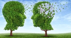 Know whether aspirin can reduce Alzheimer's disease symptoms