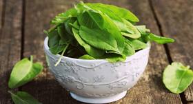 Sorrel leaves (gongurra) vs spinach leaves -- Which is better?