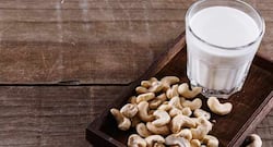 Try cashew milk if you are lactose intolerant