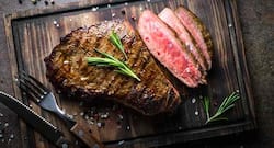 Is it okay to eat meat at every meal?