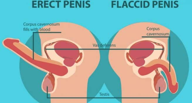 White Discharge In Men: What Causes Unusual Penis Discharge