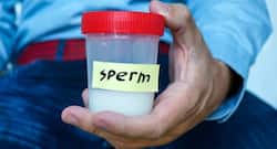 Protein deficiency in men could result in poor sperm quality and obese children