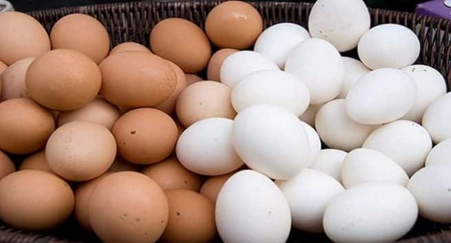 Image result for Brown Eggs or White Eggs- Which is healthy?