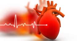 High thyroid hormone levels in the blood may up irregular heartbeat risk