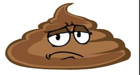 पॉटी (poop) से जुड़े ये 5 दिलचस्प तथ्य आपको जरूर पता होने चाहिए