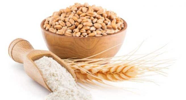 Is wheat diet the cause of Celiac Disease in India ...