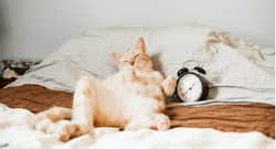 5 quick ways to beat the 3p.m slump at work!