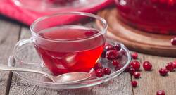 Try the antioxidant-rich cranberry tea to stay in the best of your health!