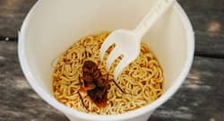 Maggots, human hair +5 other gross things that may be present in your favourite foods