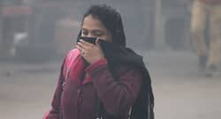 City’s Poor Summer Air Quality Remains Dangerous for Asthma Patients