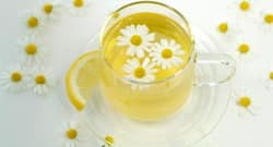 Weight loss tip #192: Drink chamomile tea to lose weight