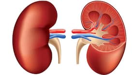 World's heaviest kidney tumour (5.5 kg) removed at Sion Hospital, creates Guinness World Record