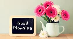 10 powerful morning quotes to make your day!