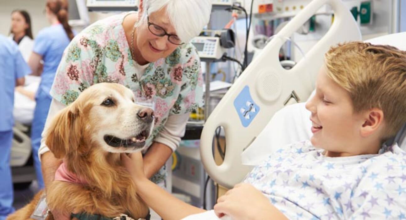 Animal Assisted Therapy - How animals help humans combat health problems