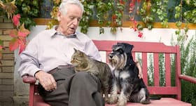 Animal Assisted Therapy - How animals help humans combat health problems