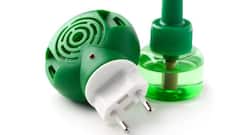 डेंगू, मलेरिया से बचने के लिए बिना खर्च के घर पर बनाइए ये mosquito-repellant!