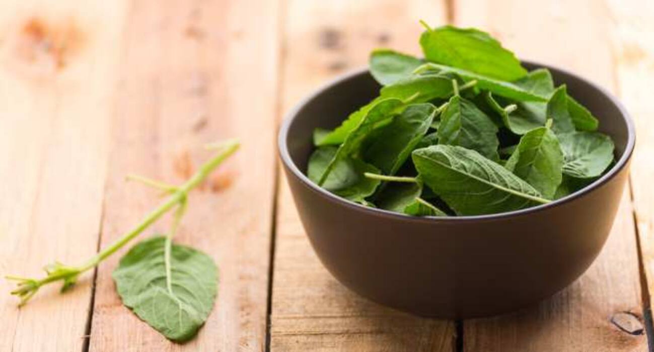 7 Ayurvedic herbs to keep your breasts healthy