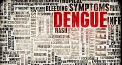 Here is the reason why dengue is deadly in India!