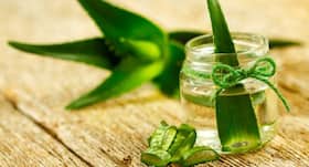 Here's how you can make all-natural, hydrating aloe vera body lotion at home for summers Here's how you can make all-natural, hydrating aloe vera body lotion at home for summers