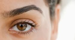 Retinal disease is the leading cause of chronic blindness