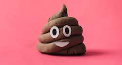 Belgian scientists looking for faeces donor