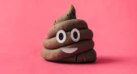 Belgian scientists looking for faeces donor