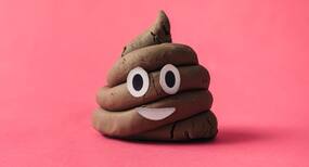 Belgian scientists looking for faeces donor
