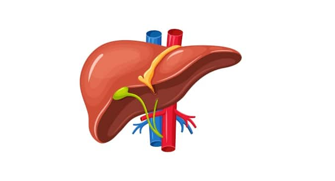 World Liver Day 2018: Liver function abnormalities observed more in men ...