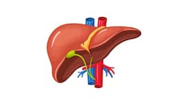 World Liver Day 2018: Liver function abnormalities observed more in men from North India