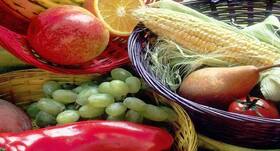 Want to build muscles and lose weight? Here are some essential muscle building nutrients