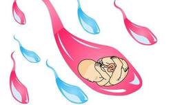 A sexologist gives diet tips for good sperm health