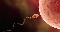 5 SHOCKING things that decrease your sperm count