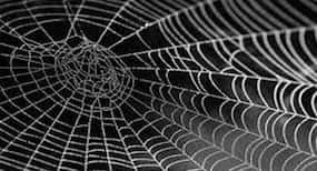 Spider silk can help microphones work better in hearing aids