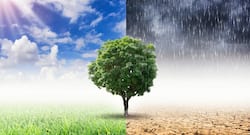 6 ways global warming can seriously harm your health