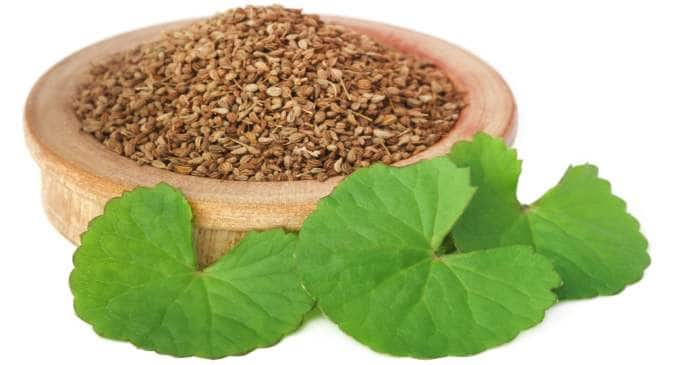 Want To Lose Weight Here Is How Ajwain Water Can Help Thehealthsite Com