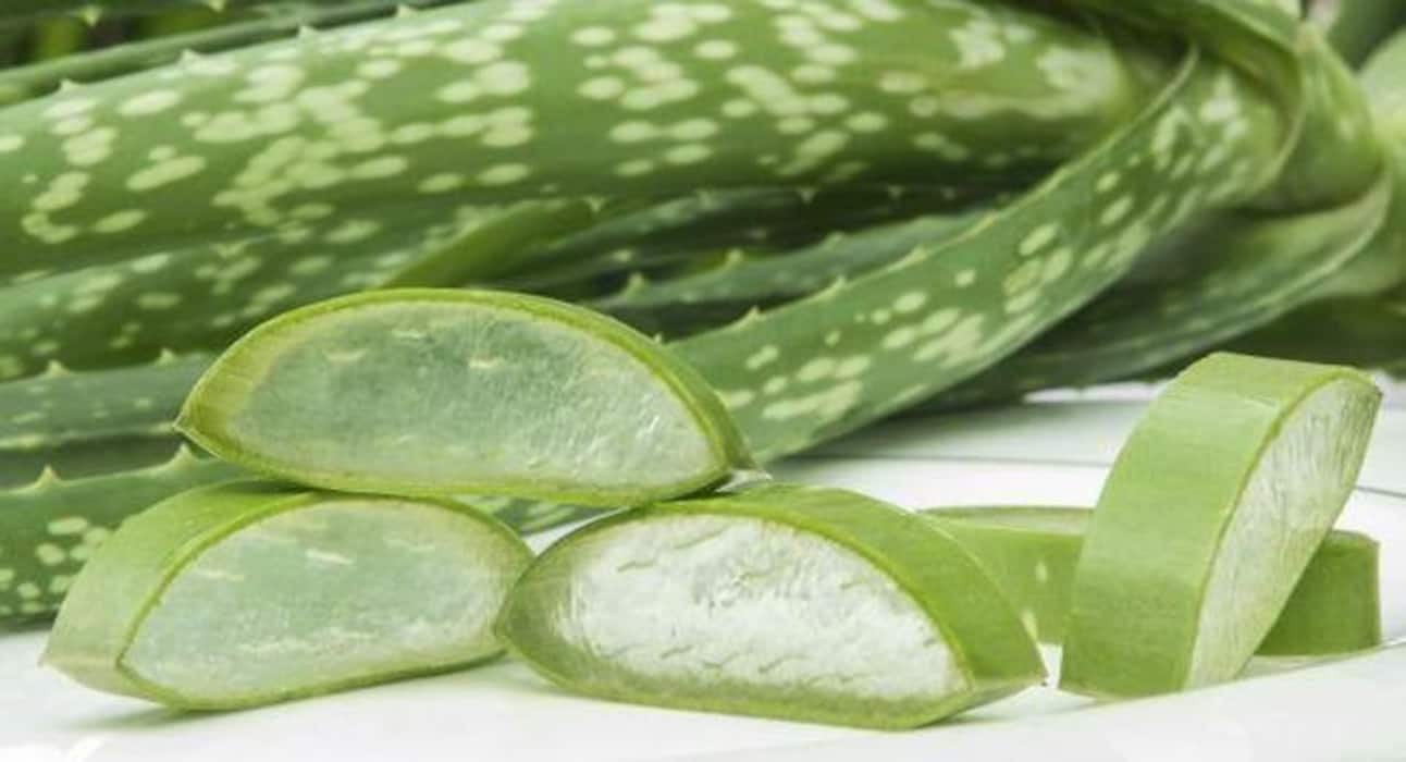 कटे-फटे निप्पल्स को राहत दिलाने के लिए 10 नैचुरल नुस्खे!