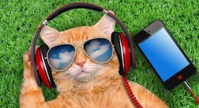 6 best apps for anxiety on Google Play 6 best apps for anxiety on Google Play
