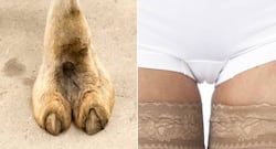 Tips to hide a camel toe