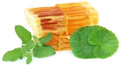 Try tulsi leaves and honey to prevent cough