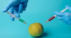 World Food Day 2022: Let Us Know About Food Adulteration