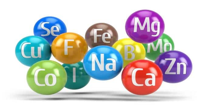 How bioavailability affects absorption of minerals from food ...