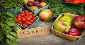 India's organic food market is set to grow in coming years