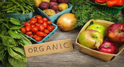 Reasons why organic foods are gaining popularity in India ...